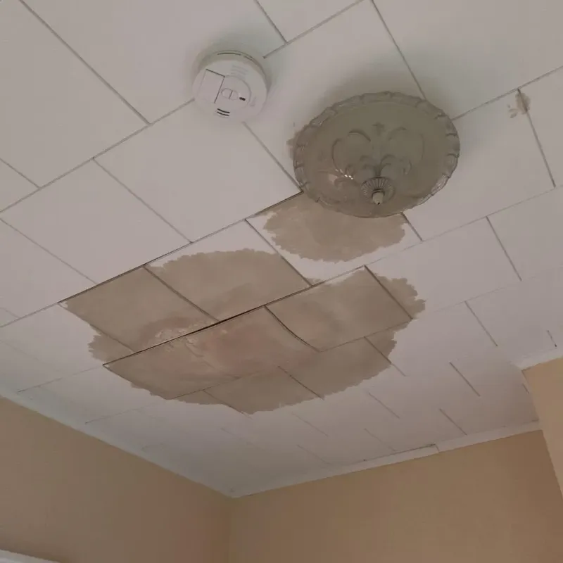 Ceiling Water Damage Repair in South Beach, NY
